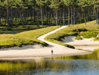 Découvrez les trésors cachés des Landes avec BaladeSudLandes.fr